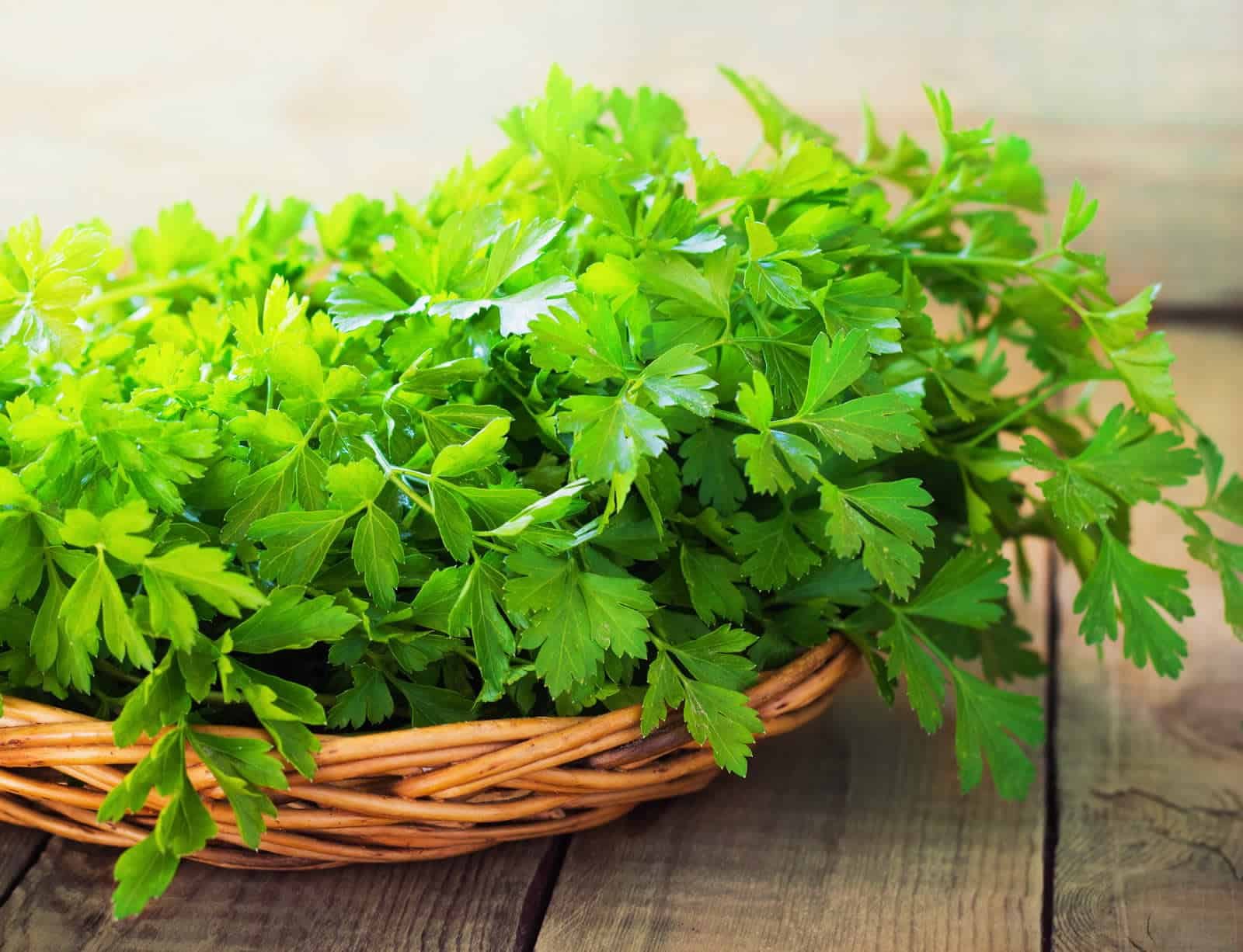 PARSLEY